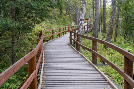 Nature Reserve Zapovednik Stolby near Krasnojarsk with hiking path.の写真素材