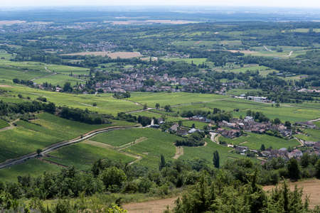 Vineyards and Rhone valley near the wine village of Santenay in Burgundy, France.の写真素材