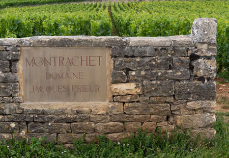 Chassagne-Montrachet, France - June 29, 2020: Vineyard Domaine Jacques Prieur with gate and wall in Burgundy, France.のeditorial素材