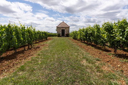 Aloxe-Corton, France - July 2, 2020: Small house on the vineyards of the Domaine Jean Fery and Fils, Burgundy, France.のeditorial素材