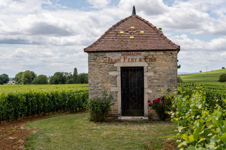 Aloxe-Corton, France - July 2, 2020: Small house on the vineyards of the Domaine Jean Fery and Fils, Burgundy, France.のeditorial素材