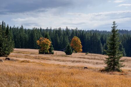 Autumn landscape in mountains with forests in the background.の写真素材
