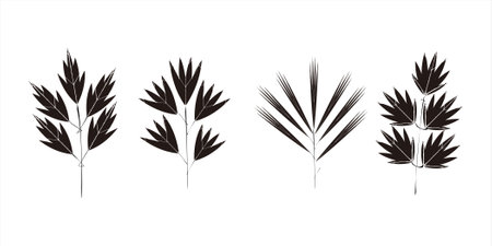 Vector illustration of various leaf shapesのイラスト素材