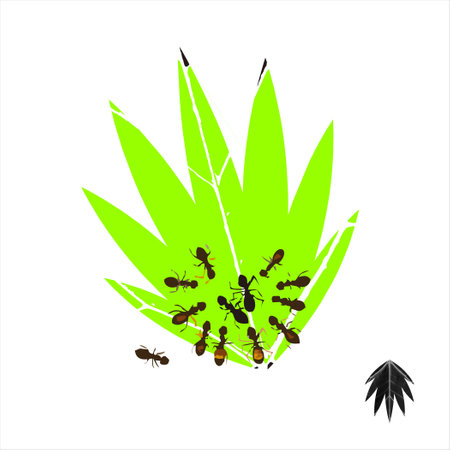 Wise words of life on a black and white abstract backgroundのイラスト素材