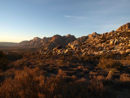 Nevada desert morning at the Red Rock Recreation area near Las Vegas.の写真素材