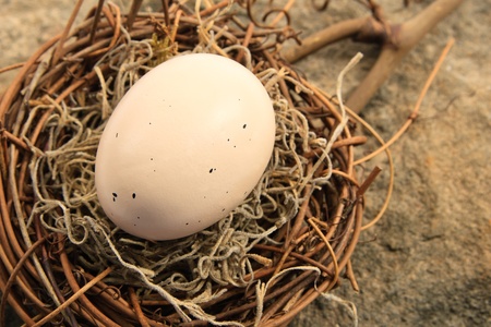 Speckled pastel pink egg resting in a natural vine and moss nest with copyspace on the right sideの写真素材
