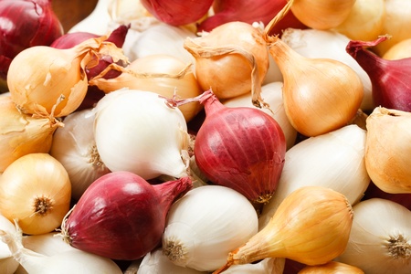 Overhead close up view of colorful red, yellow and white pearl onionsの写真素材