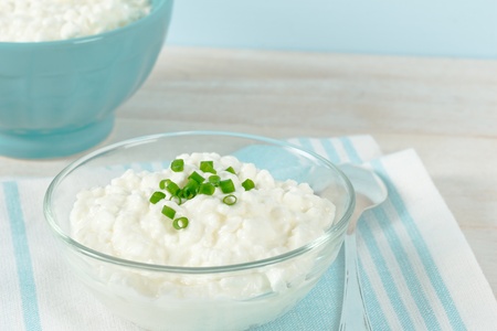 Close up of healthy cottage cheese with copy spaceの写真素材