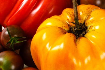 Close up shot of yellow heirloom tomato surrounded by fresh vegetablesの写真素材
