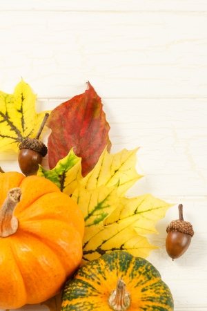 Overhead view of traditional Fall gourds with leaves and acorns on an aged white wood background with copy space at topの写真素材