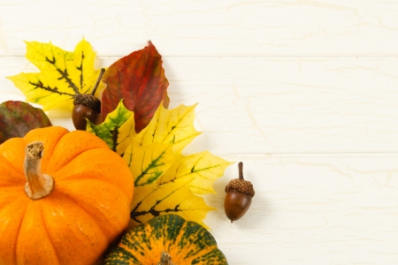 Overhead close up image of traditional Fall decorations with pumpkin, acorns and colorful leaves against and aged white wood background with copy space on rightの写真素材