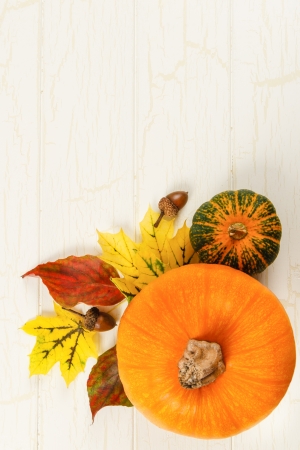 Overhead view of pumpkin with traditional Fall red and yellow leaves, gourds and acorns against aged white wood with copy space at topの写真素材