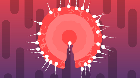 A joyful 3d illustration of competing white spermatozoids encircling big red ovum from all sides in the violet and purple background. One of them breaks through to the center.の写真素材
