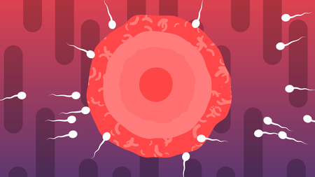 An optimistic 3d illustration of competing white spermatozoids encircling big red ovum from all sides in the violet and purple background. Two of them win and turn into a champs.の写真素材