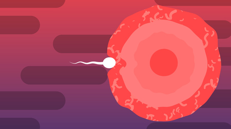 An amusing 3d rendering of a moving white spermatozoid with a waving tail in the violet and purple background with black tubes. It breaks through to the ovum.の写真素材