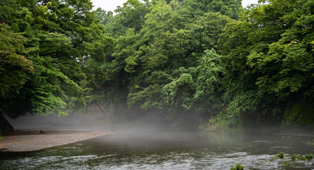 Mist With Beautiful River. Iruma River In Japan.Best Nature Place.Summer Time.の写真素材