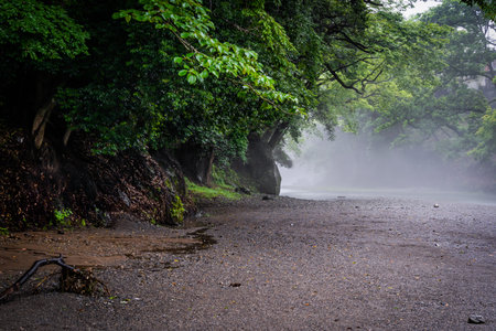 Mist With Beautiful River. Iruma River In Japan.Best Nature Place.Summer Time.の写真素材