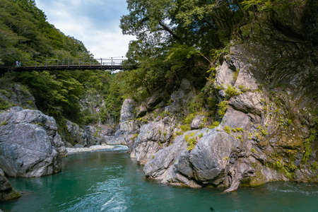 wooden bridge in deep forest, blue water. natural Summer end  background in Japanの写真素材