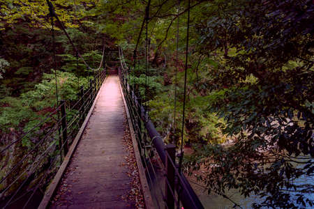 Amazing park and garden place summer season adventure and nature in Okutama Japanの写真素材