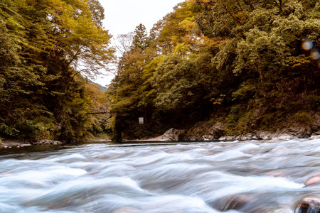 Beautiful river in forest nature. Peaceful autumn nature background.in Okutama japan. slow motion
