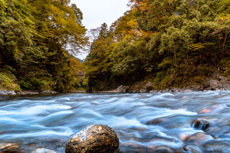 Beautiful river in forest nature. Peaceful autumn nature background.in Okutama japan. slow motionの写真素材