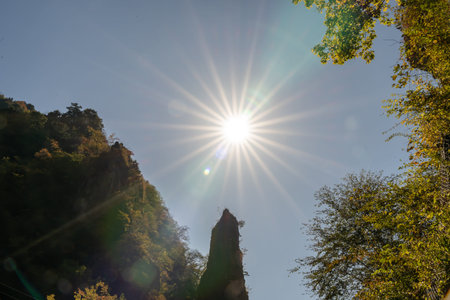 Autumn forest landscape. Gold colour tree, red-orange foliage in Okutama Japan. Nature change scene. Yellowwood in scenic scenery. sun raysの写真素材