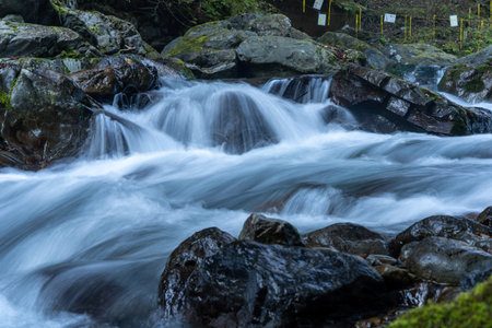 Slow shutter image of the cascading Tama river flowing over boulders in the Okutama forest in Japan....