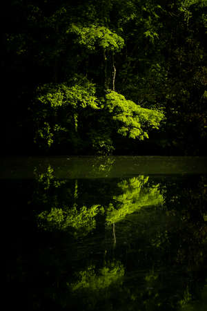 Beautiful summer season scene of lake. green reflective forest view of Japan Asia. Water reflection nature photography. The beauty of nature concept background.の写真素材