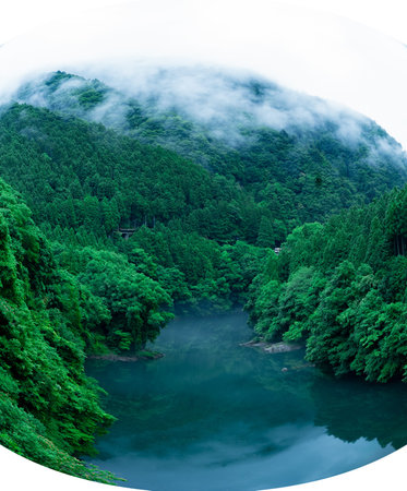 mountain mist weather day in the forest of Japan. Summer season green tree with the mountain range....