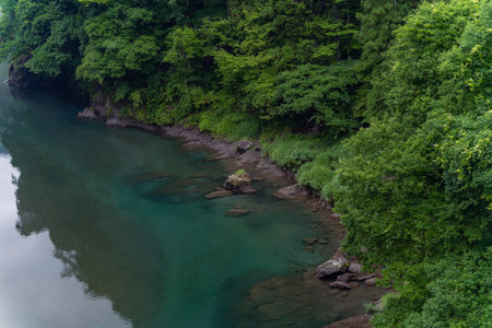 Aerial view of the mountain river in the forest. Beautiful nature landscape.の写真素材