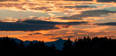 Sunset in the mountains with silhouettes of spruce trees.