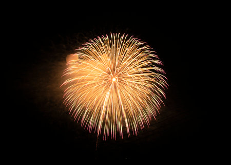 Colorful fireworks of various colors over night sky, celebration concept.の写真素材