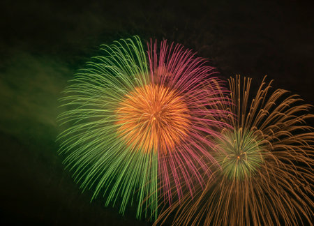 Colorful fireworks on the black sky background for celebration happy new yearの写真素材