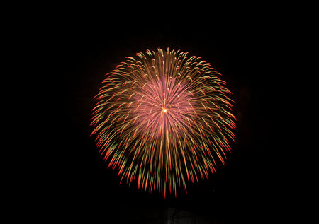 Colorful fireworks on the black sky background at night, Thailand.の写真素材