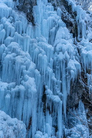 Icicles hanging from a cliff in winter, closeup of photoの写真素材
