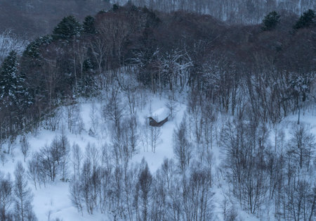Winter landscape in south korea Daegwallyeong\\"\"\""の写真素材