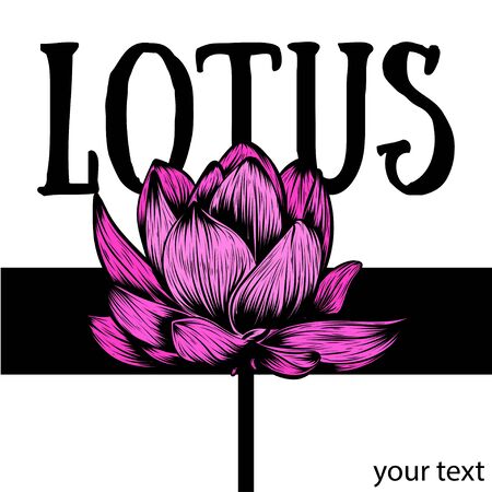 Beautiful illustration of Hand drawn lotus flower in graphic style.のイラスト素材