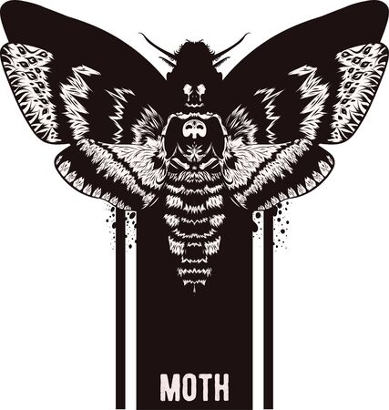 Graphic vector of moth. Illustration for print of t-shirts, mugs, pens, tattoo and other things. Vintage hand drawn line art illustrationのイラスト素材