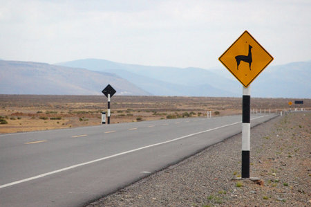 Llama road sign in Peru, Andes, South Americaの写真素材
