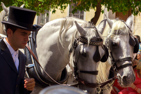 MALAGA, SPAIN - AUGUST, 14: Horsemen and carriages at the Malaga August Fair on August, 14, 2009 in...