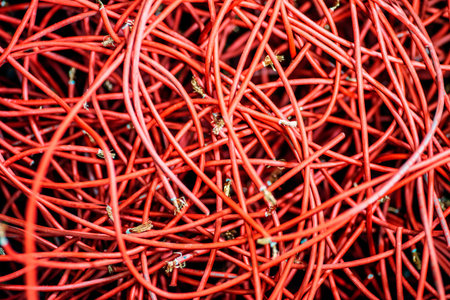 Cable of computer and internet network