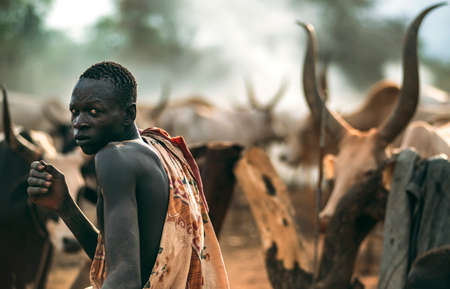 MUNDARI TRIBE, SOUTH SUDAN - MARCH 11, 2020: Man in traditional garment looking away over shoulder while herding Ankole Watusi cows on pasture near Mundari Tribe village in South Sudan, Africaのeditorial素材