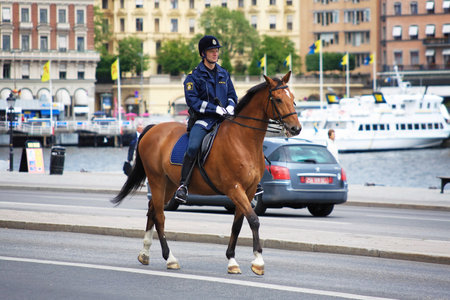 Policeman on the horse in Stockholm, Swedenのeditorial素材