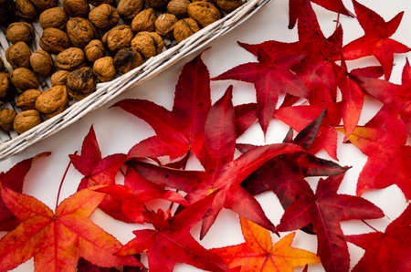 Whole walnuts in a basket, yellow red, and brown dry autumn leaves, harvest, thanksgiving, Halloweenの写真素材
