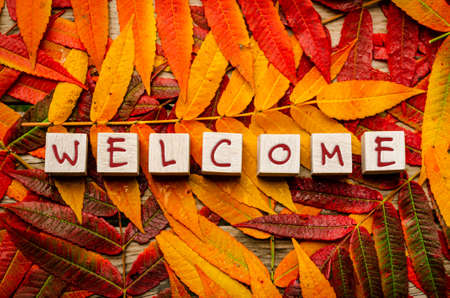 Concept of welcoming autumn. Colorful leaves with text on white wooden blocksの写真素材