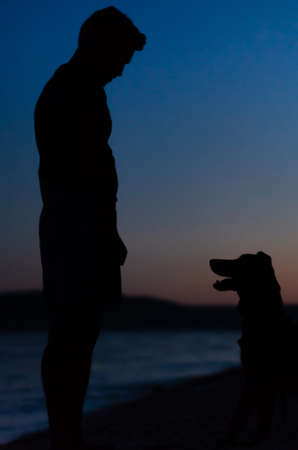 Dog sitting and paying attention to the trainer, waiting to get a reward. Silhouettes in the evening sky on the beach.の写真素材