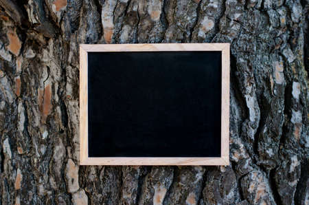 Empty blackboard hanging on the pine tree with brown textured barkの写真素材