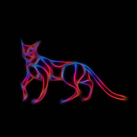 Glowing neon effect Cats club sign. Illustration on black backgroundの写真素材