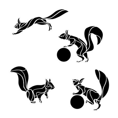 Set of squirrel in different pose. Vector illustration.のイラスト素材