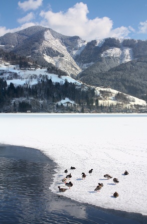 Scenic view of path around lake with snow capped mountains in background, Zeller See, Zell am Zee, Austriaの写真素材